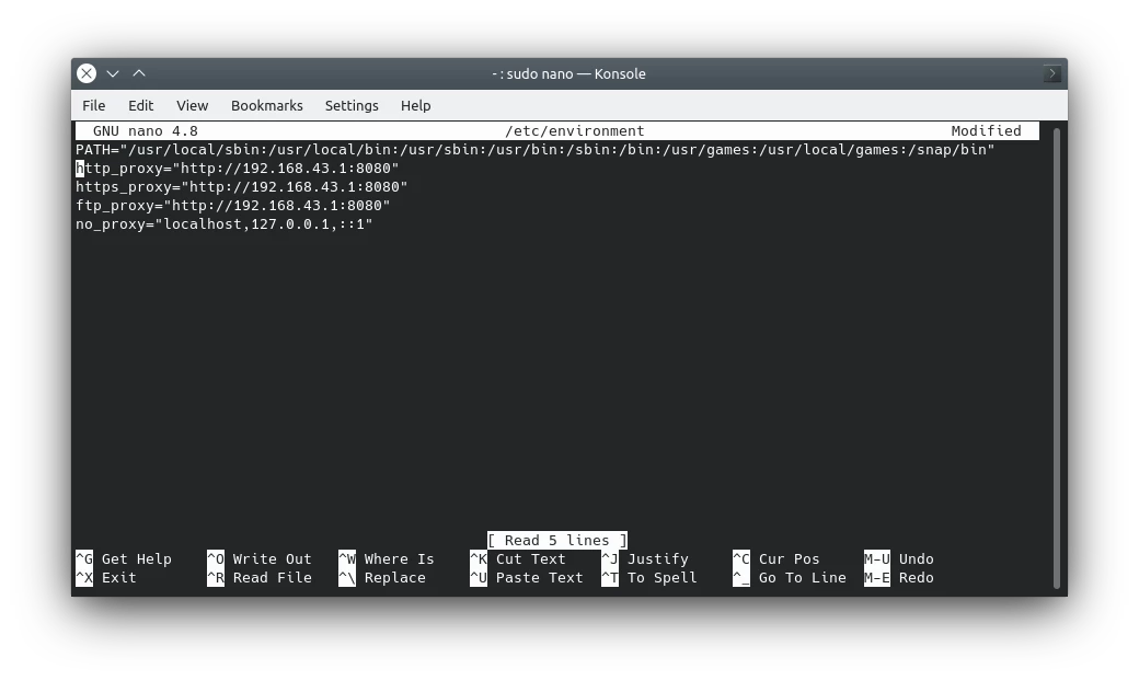 Tampilan Terminal Saat Mengatur Pengaturan Proxy